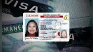 Real ID en Chicago: este es el programa que facilitará tramitar tu identificación en EE. UU. sin cita previa