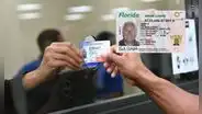 Real ID Florida: los 5 errores que no debes cometer al momento de solicitar la identificación
