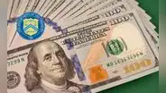 Excelentes noticias para adultos en Florida: las fechas en las que recibirás dinero extra en EE. UU. este 2025