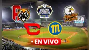 Resultados round robin LVBP 2025 EN VIVO HOY: repasa los marcadores finales de los juegos del 4 de enero