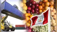 Perú alcanzó nuevo récord en agroexportaciones en 2024: las frutas que lideraron el mercado internacional