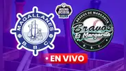 Ver Magallanes vs Bravos HOY EN VIVO, semana 2 del round robin 2025 : revisa cómo va el juego por la LVBP