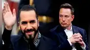 Elon Musk promete seguir el modelo de Bukele en EE. UU. contra el crimen y este le responde: "Podríamos ayudar"