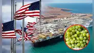 Desde este puerto peruano se embarcó más de 4.500 toneladas de uva hacia EE.UU: fortalecerá el comercio, indica MTC
