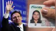 Buenas noticias para trabajadores en EE.UU.: nueva Ley Ron DeSantis aplica la Licencia Universal en Florida