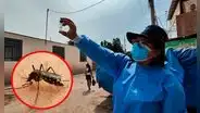 Alerta en Lima: detectan presencia del peligroso serotipo 3 del dengue en varios sectores