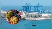 Esta fruta cosechada en Perú fue enviada por primera vez desde el Megapuerto de Chancay rumbo a China: es muy preferida en Asia