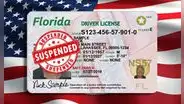 Licencia de conducir en Florida: FLHSMV suspenderá el permiso a estos conductores en EE. UU.