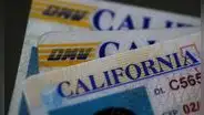 Licencias de conducir: los 5 estados que entregan más rápido esos permisos a inmigrantes en Estados Unidos 2025
