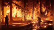 Incendios en California: el anuncio de los nominados a los Óscar se posterga, actores donan millones y la ceremonia de los Grammy será un evento benéfico