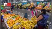 ¿Amante de las frutas de temporada? Midagri recomienda cuáles son las ideales para los peruanos en el verano 2025