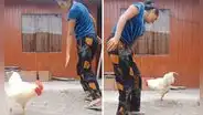 Peruana sorprende al bailar marinera junto a su gallo y usuarios reaccionan: “Baila mejor que yo”