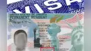 ¡Celebren, inmigrantes en EE. UU.! Los 5 grupos de indocumentados que podrán recibir rápido la Green Card