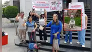 Abogada que atropelló a un perro en Arequipa enfrentará juicio: podría recibir hasta 3 años de cárcel