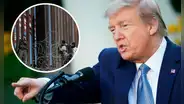 Malas noticias para inmigrantes en EE. UU.: Trump planea acelerar deportaciones masivas desde su primer día de gobierno