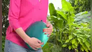 La planta natural que mejora tu descanso, favorece la digestión y fortalece tus defensas: es utilizada en la cocina
