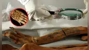 Científicos descubren tatuajes milenarios en momias peruanas de la cultura Chancay