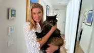 Gata es abandonada por error en un avión y hace 3 viajes: voló Nueva Zelanda y Australia en 24 horas