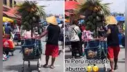 Peruano innova al vender agua de coco con palmera incluida en Lima: "Creatividad sobra"