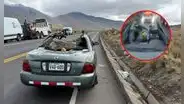 Estudiante muere luego de que carga a bordo de vehículo cayera sobre él en Arequipa: chofer se dio a la fuga