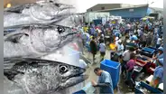 ¿Sabes como reconocer el pescado fresco de otro congelado? Conoce el paso a paso, según Produce