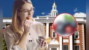 Esta es la fruta que fortalece la memoria y reduce el riesgo de padecer demencia, según un estudio de Harvard