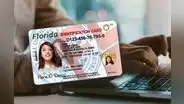 Licencia de conducir para inmigrantes en Florida: 3 documentos clave para obtener la Real ID en EE.UU. 2025