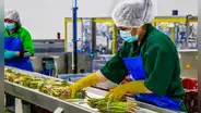 Proyecto Olmos diversifica la economía y lleva a Lambayeque al mercado global