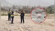 Chaclacayo: cuerpo de mujer es hallado sin vida en el río Rímac