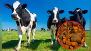 El multimillonario negocio de China que cotiza más que el oro: ofrecen hasta 5.800 dólares por 28 gramos de este producto