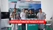 ¿Buscas trabajo en Lima o Ica? Serfor lanza convocatoria de trabajo CAS con sueldos de hasta S/11.000: ¿cómo postular?