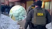 DEA incautó 130 mil pastillas de fentanilo en una casa de Denver y arrestó a 2 personas vinculadas a los cárteles de México