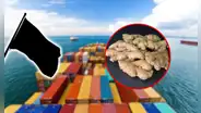 Este país de Sudamérica es el tercer exportador de jengibre en el mundo: el 95% de su producción exportada proviene de una sola región