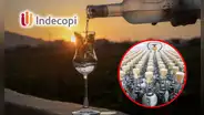 Indecopi advierte sobre riesgos de comprar licores adulterados en el Día del Pisco Sour este 2025
