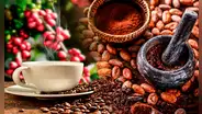 Estudio científico revela que las propiedades del cacao alivian el estrés y mejoran la memoria: "Efectiva para la salud mental"