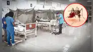 Essalud detecta 400 nuevos casos de dengue semanales en Perú: Ate y SJL entre los distritos más afectados