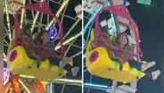 Mujer disfrutó de juego mecánico junto a su perro y emotiva escena es viral: “Va superfeliz”