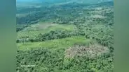 Líderes indígenas exigen al Mincul creación de la Reserva Yavarí Mirim