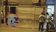 SJL: hombre queda herido durante una balacera y su perro muere al intentar defenderlo