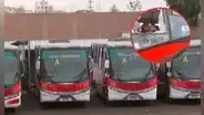 Buses de empresa 'Chama' paralizada: acatan paro de transportistas tras atentado contra chofer