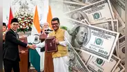 Estos dos países prohíben el uso del dólar estadounidense: solo se podrán hacer transacciones con monedas locales