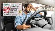 Licencia de conducir en Florida: ¿el número de la tarjeta y el registro del automóvil deben ser iguales, según el FLHSMV?
