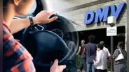 DMV en Illinois: Chicago Auto Show 2025 ofrecerá REAL ID, licencias de conducir y otros trámites hasta el 17 de febrero