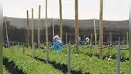 Proyecto Olmos: La fuerza del agua que transformó la economía de Lambayeque