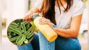 Tu tomatodo podría tener 40 mil veces más bacterias que un inodoro: ¿Sabes cómo limpiarlo?