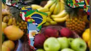 Este país de Sudamérica se queda atrás en exportación de frutas: Perú lo supera casi 5 veces junto con otros países de la región