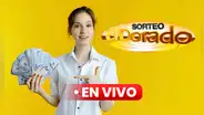 Último sorteo Dorado Mañana y Tarde EN VIVO, hoy 13 de febrero: resultados y qué número salió vía Canal 1