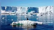 La competencia contra el tiempo por estudiar la Antártida antes de que el cambio climático lo desaparezca y salvar a la Tierra