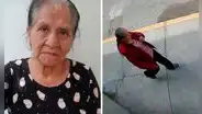 Buscan a adulta mayor de 76 años desaparecida en Comas: fue vista por última vez cerca al río Chillón