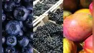 Agroexportaciones cerraron el 2024 con récord de US$12.798 millones: ¿qué productos destacaron?